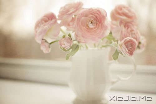 如果我不这么在乎，生活会简单得多 (6)